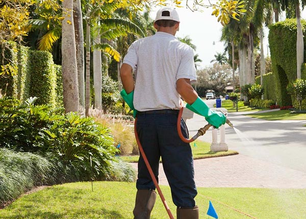 About Canyon City OR Pest Control Pros